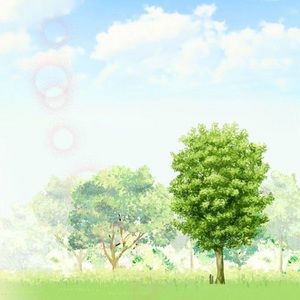 Meet your Posher, Brianne